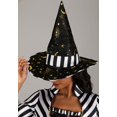 thumbnail image 2 of Women's Plus Size Rococo Witch Costume Dress, 2 of 6
