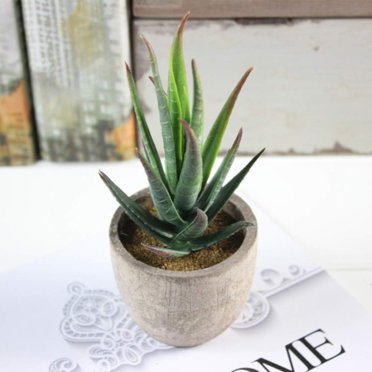 Prix Réduits! Plante Verte de Simulation Aloe Vera Artificielle Plante en Pot Vert Armée, Ag, 6.24*2.73*2.73 Po, Plastique 1*Simulation Aloe Vera Plante en Pot Relocy