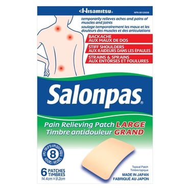 Salonpas Pain Relieving Patch Large, 6 Patches