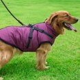 thumbnail image 4 of Pet Dog Jacket With Harness Windproof Winter Pet Dog Padded Coat Clothes, 4 of 6