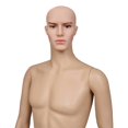 thumbnail image 5 of vidaXL Mannequin Man A, 5 of 5