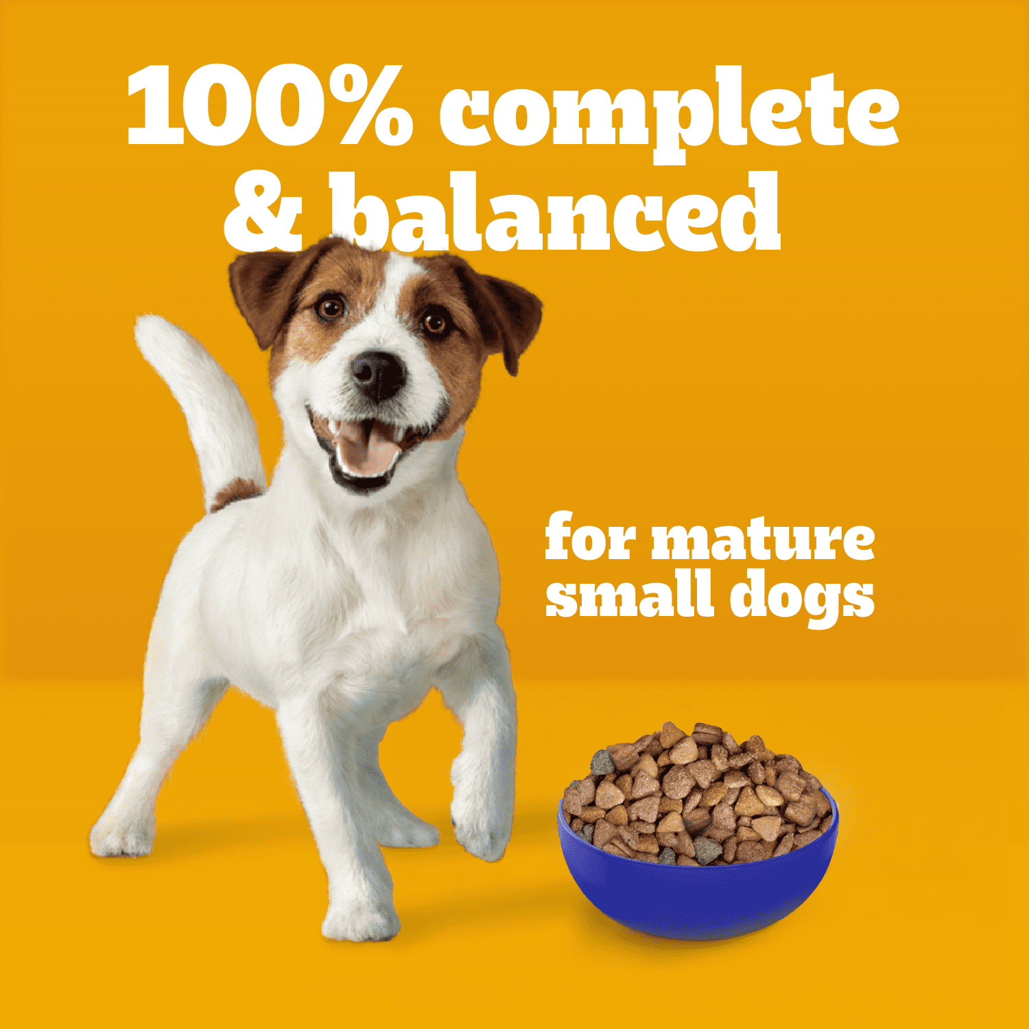 Pedigree Tender Bites Petites Races Saveur de Poulet et de Steak Nourriture Sèche pour Chiens 2kg