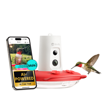 Birdfy Humming Bird Feeder with Camera, 1080P FHD Hummingbird Feeder Camera with Ant Moat, 9000 mAh rechargeable bird camera, AI Identify Bird Species, Leak Proof, Ideal Gift
