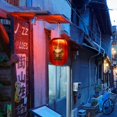 thumbnail image 4 of Solar Lanterns Chinese Japanese Print Hanging Lamp Outdoor Garden Light (E), 4 of 10