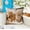 E, variant on Amzcrzy Flock Pillowcase Bedspread & Coverlet Sets Cute Animals Print Pillow Set Bedroom Living Room Sofa Cushion 45X45 Cm for Sofa Living Room Decoration Bedding Bedding Comforter Sets Bedding Set