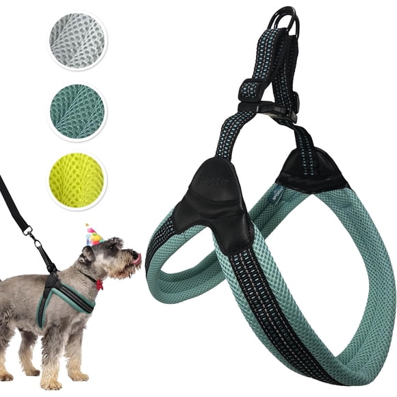 Sporn Easy-Fit Mesh Dog Harness Medium Sized Dog, Turquoise Soft Fabric Nylon No Choke Dog Harness Size Dog, Breathable & Easy Dog Walking Harness