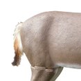 thumbnail image 4 of Primos Hunting Cicatrice Visage Cerf Queue Blanche Debout avec Mouvement 62601, 4 of 5
