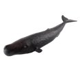 thumbnail image 4 of VONKY Realistic Whale Animal Model Education Soft Figure Kids Toy Sperm Whale, 4 of 8
