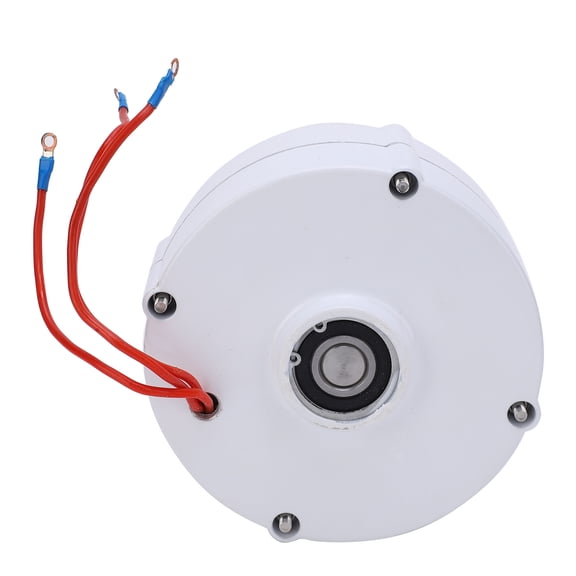 Industrial Supplies, Anti-corrosion AC Permanent Magnet Generator  For Factory For Professional Use For General Purpose For Electronic Component Sans Redresseur 48V