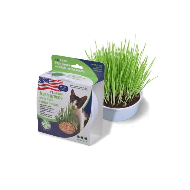 Van Ness Oat Garden Kit with a white plastic pot containing dark soil and fresh green oat grass sprouts next to its packaging box showing a cat and text about organic oat seeds that aid cats' digestive health and hairball relief, suitable for indoor hydroponics and grow kits.
