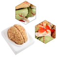 thumbnail image 3 of FAGINEY 8Parts Anatomical Brain Arteries Model Human Set Supply School Scientific,Brain Arteries Model, 3 of 8
