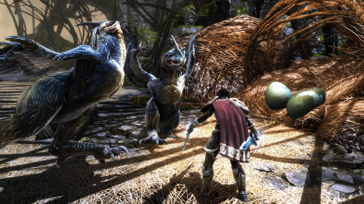 Jeu vidéo Kingdoms of Amalur Re-Reckoning pour (PS4)