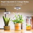 thumbnail image 3 of EastVita 2 Paquets Grow Lights pour Plantes d'Intérieur avec 9 Niveaux de Luminosité Réglables, Hauteur Réglable, Lumière LED à Spectre Complet pour Plantes, 3 of 7