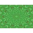 thumbnail image 1 of Ahgly Tapis Rectangulaire Lavable en Machine Intérieur Transitionnel Vert Néon, 7 Pieds x 9 Pieds, 1 of 7