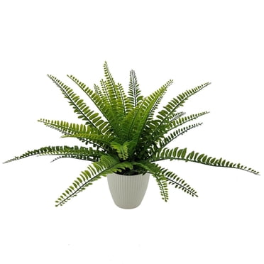 Plante artificielle d'intérieur en pot Mainstays de 11,5 po, fougère de couleur verte