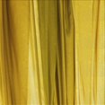 thumbnail image 1 of Ahgly Company Tapis d'Intérieur Lavable en Machine Carré Transitionnel Bisque Foncé Marron, 8 Pieds Carré, 1 of 7