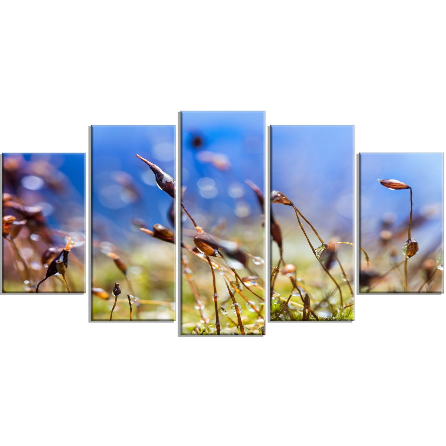 Design Art Fleurs De Printemps Été Moss Art Sur Toile