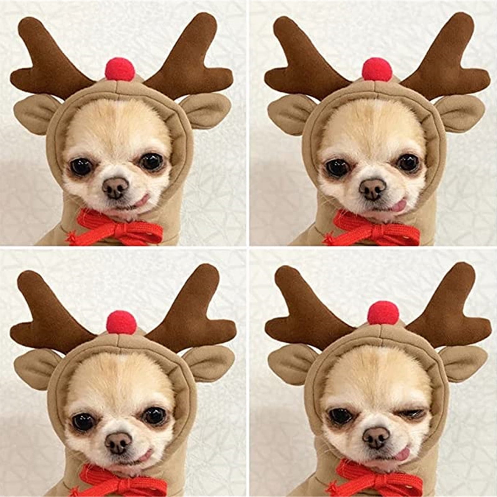 TIMIFIS Cat Dog Clothes Cat Costume Fruit Turned Into Dogs, Cats, Dogs, Autumn And Winter Sweaters, Fleece Clothes