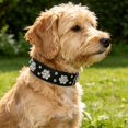 thumbnail image 4 of Collar For And Cats Adjustable Comfortable Walking Training Neck Strap, Suitable For Both and Cats During Walks, 4 of 5