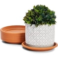 thumbnail image 3 of Plateaux en Plastique Type Soucoupe pour Pots, Robustes, Plateaux d'Égouttement pour Pots de Fleurs, Petits Plateaux Ronds de Récupération d'Eau, Soucoupe pour Intérieur, 3 of 7