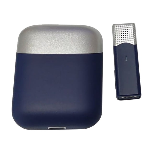 Wisewang Microphone Mini Sans Fil Portable pour Réunion, Micro à Revers, Étui de Chargement, Téléphone Mobile, Diffusion en Direct, Accessoires de Classe, Type 2