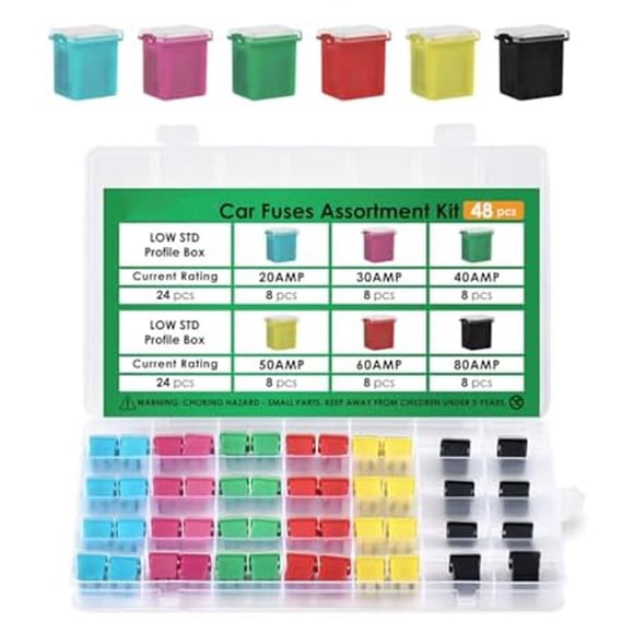 Rooha 48Pcs Low Profile Assortment Kit Car Fuses Low Profile Box Shaped Fuses 20-80A,Short