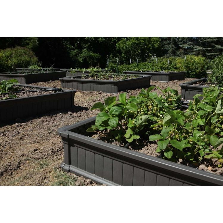 Lit de jardin surélevé (1 lit, sans enceinte)