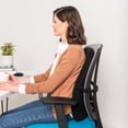 thumbnail image 3 of ObusForme Lowback Backrest Support Black (Bagged), 3 of 11