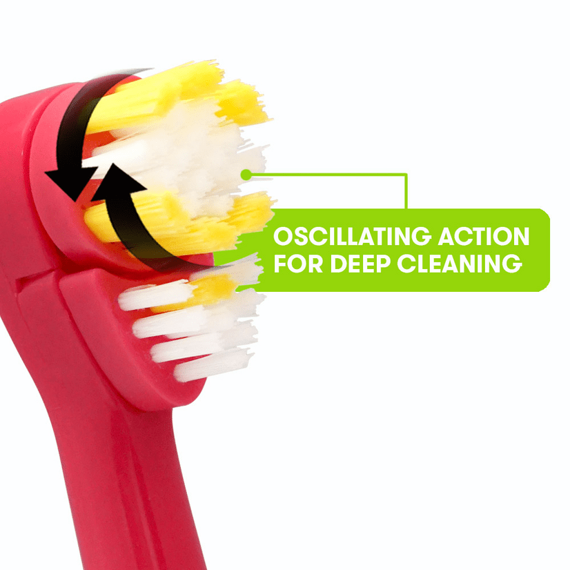 Firefly® Brosse à Dents pour Enfants à Piles - LOL, Souple