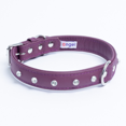thumbnail image 2 of ATHENS Leather Dog Collar Single Row Rhinestones, 2 of 3
