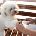 thumbnail image 3 of Dog Nail Grinder, 2 Speed Pet Nail Grinder Trimmer Stepless Speed Regulation Pet Nail Grinder Rechargeable Portable Trimmer Grooming Tool for Dogs & Cats White, 3 of 8