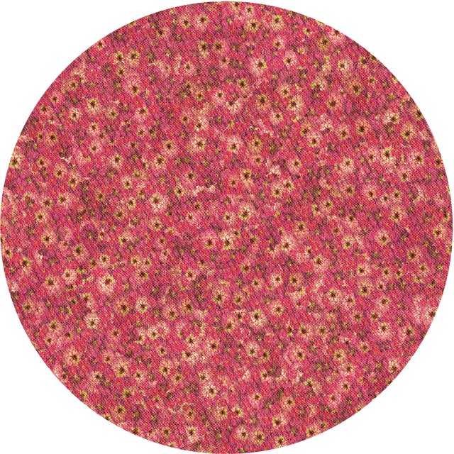 Ahgly Company Tapis Rond Lavable en Machine Intérieur Transitionnel Rouge Cramoisi, 7 Pieds Rond