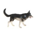 thumbnail image 1 of Simulation Animals Model Figure Kids Educational Science Animal Toy Kids Nature Simulation Toy Decor Husky, 1 of 7
