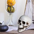 thumbnail image 5 of EGNMCR Halloween Decorations, Halloween Skeletons Plastic Realistic Fake Simulation Human Skull HeadBone Model Halloween Prop Realistic Mini Skeleton Spooky Halloween Decoration A Skeleton, 5 of 5