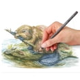 thumbnail image 5 of Crayons pour aquarelle teintés de Staedtler, 5 of 5