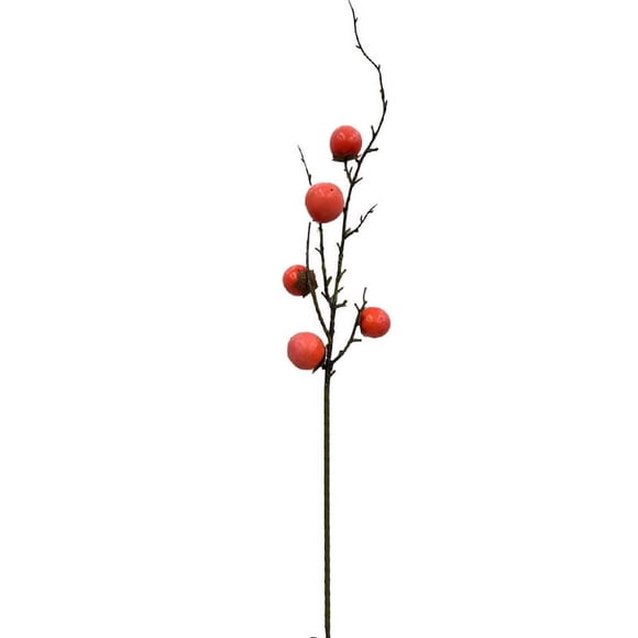 XmhyTop Artificial Fruits Pack,Fake Fruit Set Foam Fruit for Decor,Decorative Fruit for Home Party Photography Props (Persimmon branch B,2pcs)