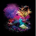 thumbnail image 2 of Marina iGlo Aquarium Plant, 7.5", 2 of 2