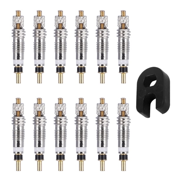 Ensemble de Noyau de Valve de Pneu de Vélo Ensemble de Noyau de Valve de Bicyclette Kit d'Outils de Réparation de Noyau de Valve d'Air de Pneu Remplacement pour Presta, 15 Pcs