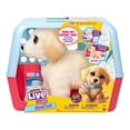 thumbnail image 1 of Aïe Cooper des petits animaux vivants, 1 of 6