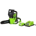 thumbnail image 1 of Greenworks 24V Cordless Chainsaw, 2.0 AH Battery Included, 20362, 1 of 5