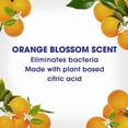 thumbnail image 3 of Lysol Simply™ All Purpose Cleaner,Multi-surface cleaner trigger, Orange Blossom, 650 mL, 3 of 5