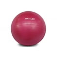 thumbnail image 1 of Ballon d'exercice MD Buddy 55 cm Rose avec pompe, 1 of 1