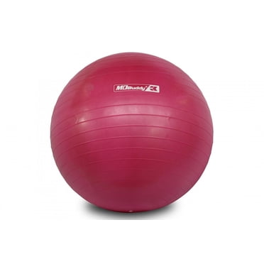 MD Buddy Exercise Ball 55 cm Pink with Pump