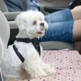 thumbnail image 4 of LSLJS Pet Blanket Dog Bed Cat Mat Flannel Thickened Accessories Keep Warm In Winter Sleeping for Sofa Cushion Home Rug Supplies, 4 of 8