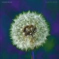 thumbnail image 1 of FOCUS ON NATURE (2LP-BLACK VINYL), 1 of 1