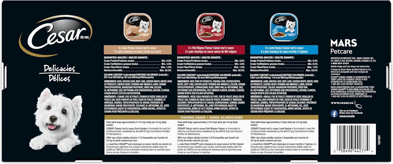 CESAR Pâté Classique en Sauce Nourriture Humide pour Chiens Variété Délices, Coupelles Lot de 24