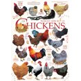 thumbnail image 1 of Cobble Hill Jigsaw Puzzle - Chicken Quotes, 1000 Piece Puzzle, 1 of 5