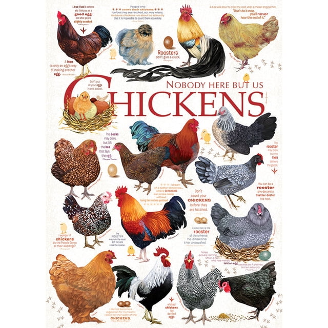 Cobble Hill Jigsaw Puzzle - Chicken Quotes, 1000 Piece Puzzle showcasing a vibrant collage of chicken breeds paired with humorous quotes. This multicolour puzzle features random-cut pieces for a fun challenge and is crafted with high-quality, glare-reducing linen paper. Proudly made in North America.