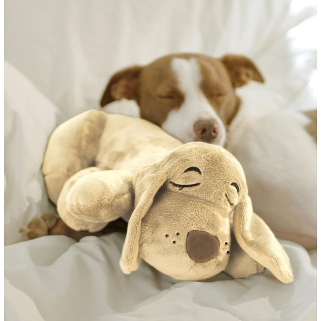 HuggiePup by Pets Know Best Jouet Apaisant Peluche Chiot Doré, Vue Centrée Orientée vers l'Avant Montrant une silhouette en Fourrure Douce et une Pochette Inférieure visible à Crochets et Boucles; Comprend un Bloc Chauffant Réutilisable et un module de Battement de Cœur Réaliste (Requiert 2 Piles AAA, Non Incluses); Lavable à la Machine avec inserts Enlevés; 7.48 x 13.78 x 3.15 Pouces. Souvent Utilisé comme Compagnon Apaisant de Voyage pour les Petits Chiens.