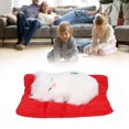 thumbnail image 1 of Fake Cats, Sleeping Cat Toy Lifelike With Active Carbon For Home Decoration, 1 of 8
